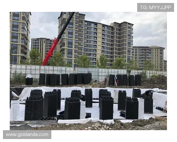 体育场馆建设中雨水回收循环利用系统